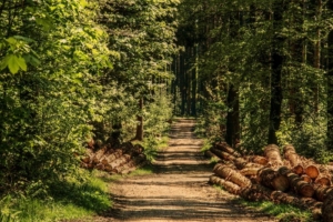 Woudschoten Landgoed